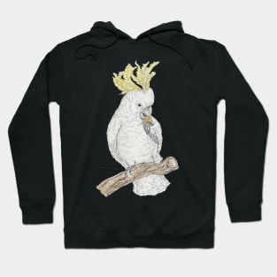 Cockatoo Hoodie